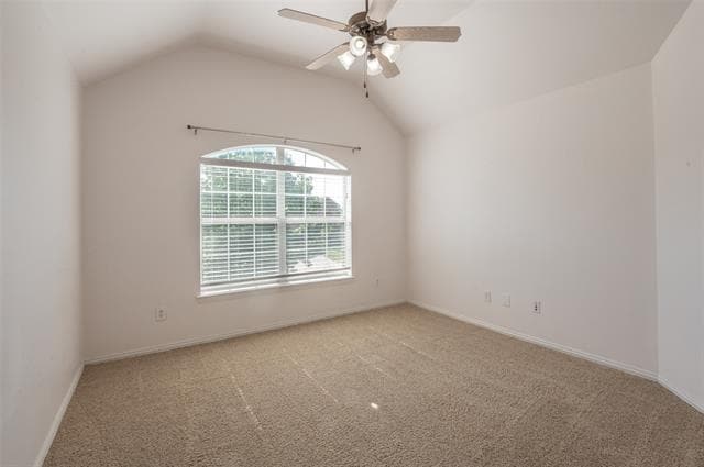 Building Photo - 2804 Appaloosa Ct