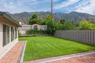 Backyard - facing north - 1360 Tropical Ave