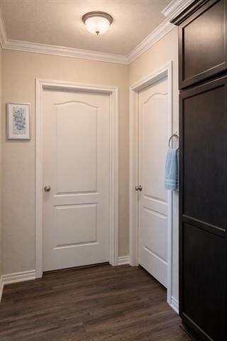 Building Photo - 2517 Nolan Creek St