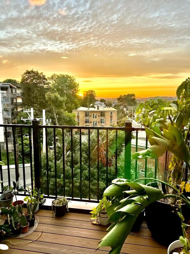 Building Photo - Luxury Condo Style 2 Bed plus, 2 Bath Apartment!