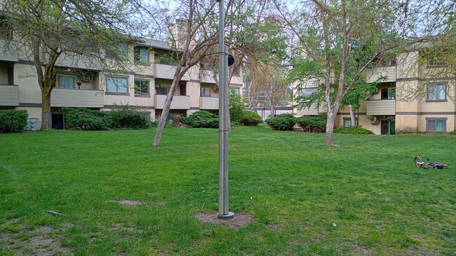 Building Photo - University Village Apartments