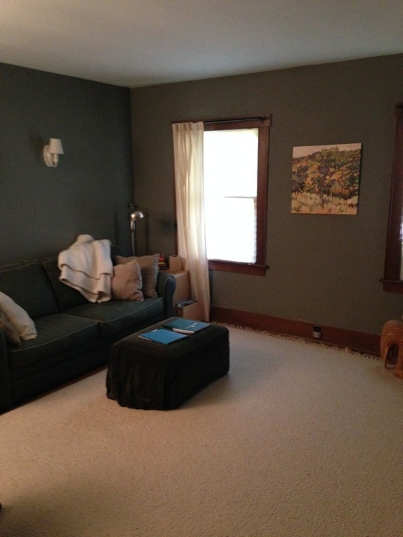 Large second bedroom with large closet. - 862 Allen Ave