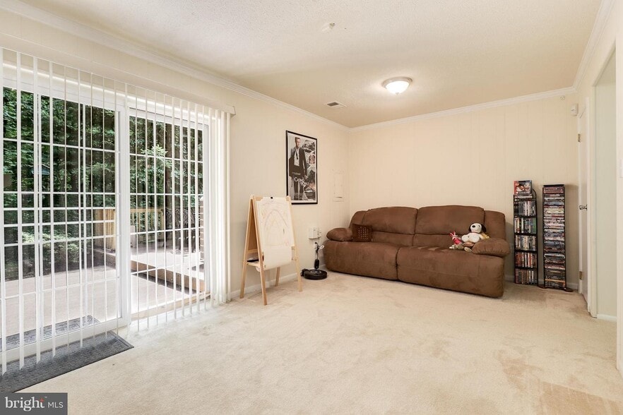 Walkout Basement - 16031 Dorset Rd