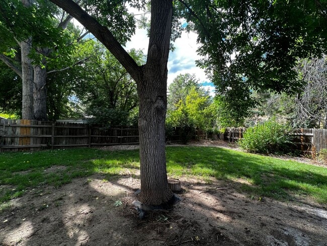 Building Photo - 3 Bedroom 2 Bathroom Ranch Style Home!