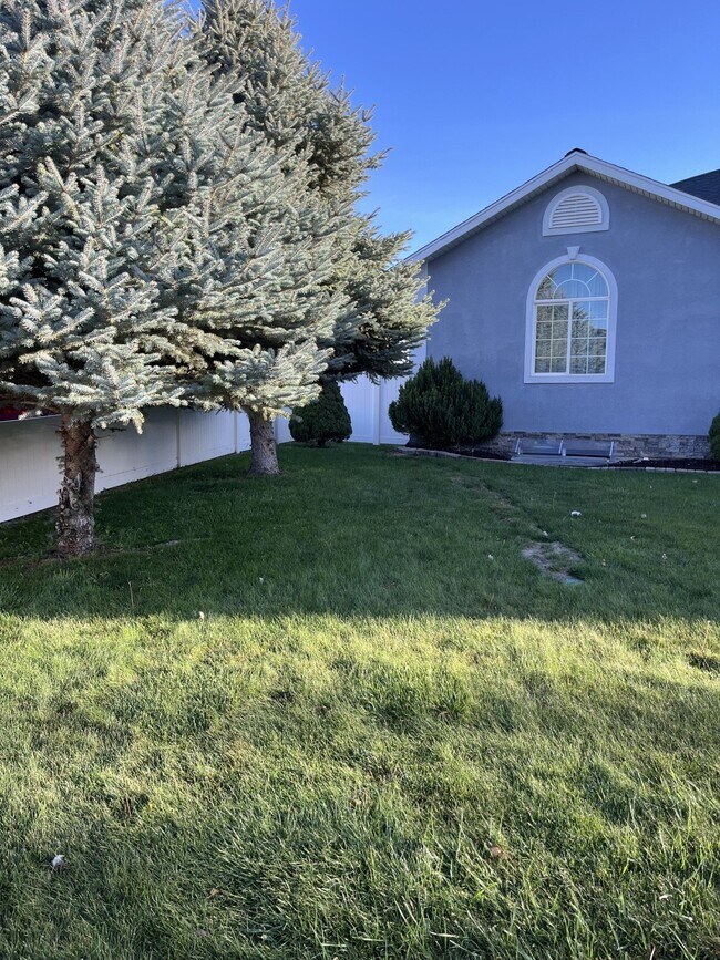 Building Photo - 1517 Falcon Ln