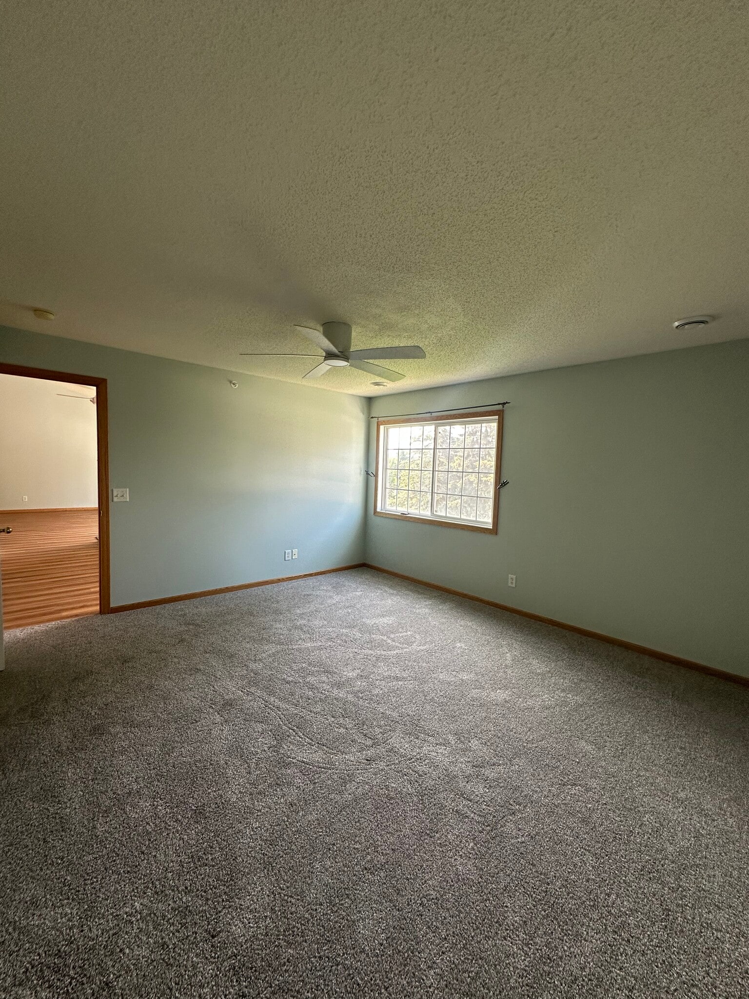 Building Photo - 1209 Timber Way
