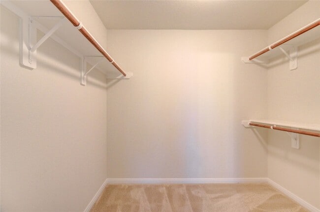 Building Photo - 2922 Coral Berry Ct