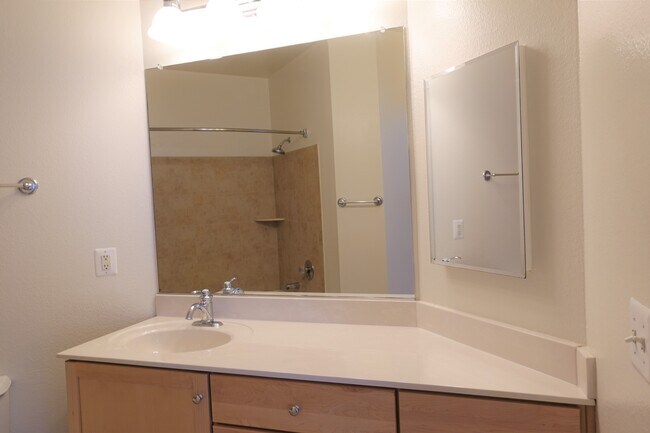 Master Bathroom - 11750 Old Georgetown Rd
