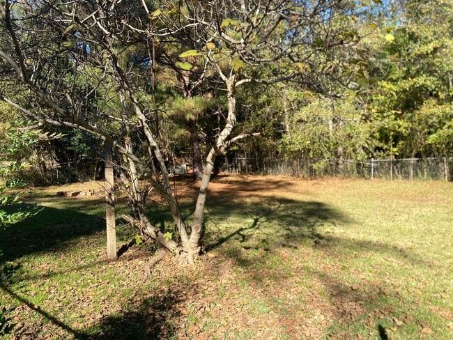 Building Photo - 381 Magnolia Ave