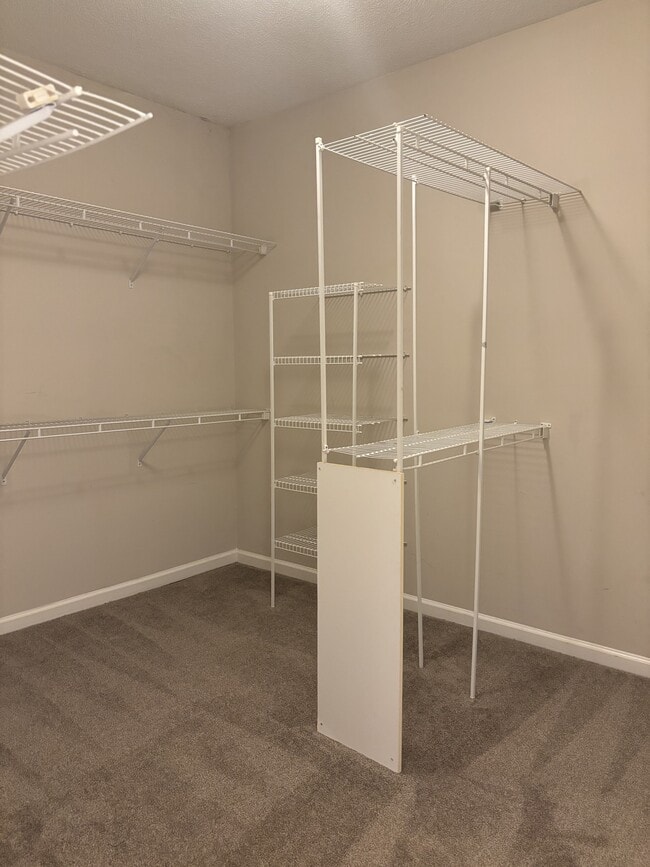 Building Photo - 203 Walnut Gardens Dr