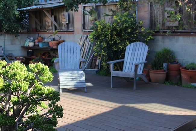 Backyard - 818 Loma Dr