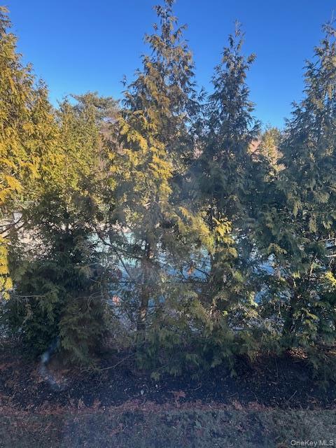 Building Photo - 40 Aspen Ct