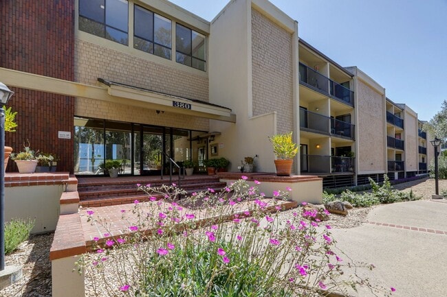 Building Photo - 380 Vallejo Dr