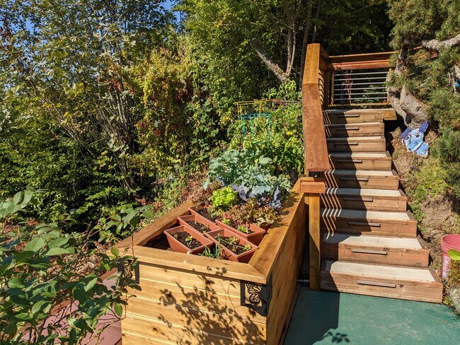 At the north end of the patio is the second cedar raised bed featuring vegetables. - 8261 Northrop Plz SW