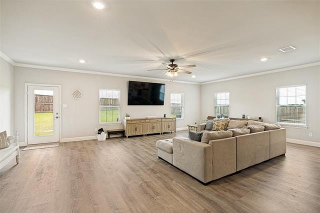 Building Photo - 439 Cyprus Grove Dr