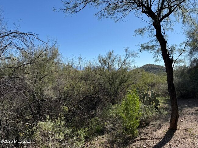 Building Photo - 5751 N Kolb Rd