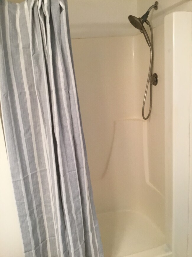 Master shower - 1245 S Maple Rd