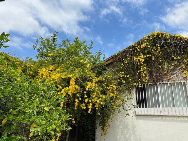 Building Photo - 340 W Gage Ave