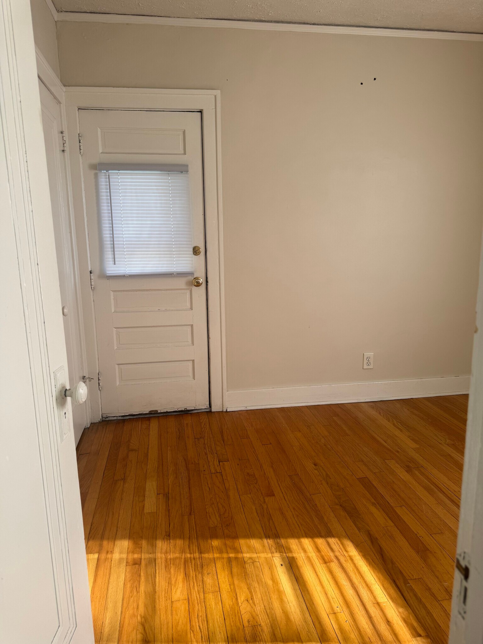 Bedroom 2 and door to backyard - 166 Jewell St