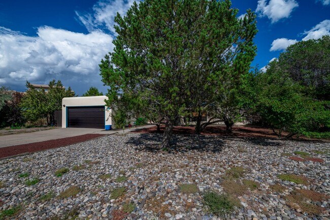 Building Photo - Vibrant Home Off Rodeo Rd.