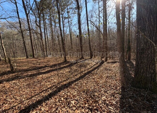 Building Photo - 240 Carter Rd