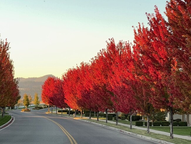 Building Photo - Beautiful Liberty Lake Townhome in Rocky Hill – 2 Bed, 2.5 Bath Available May 1st