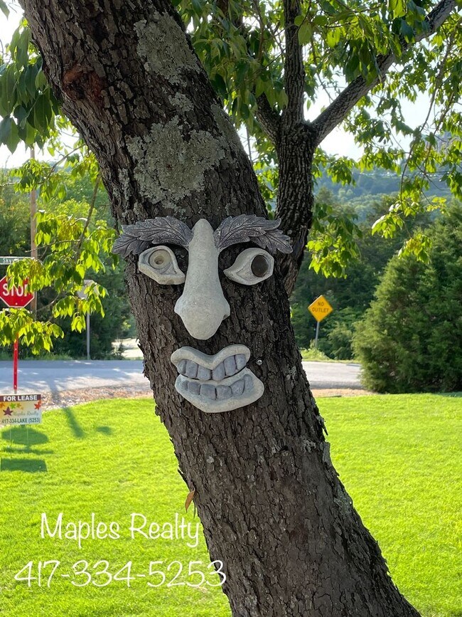 Building Photo - VERY NICE 3 bedroom home in Branson, MO fo...