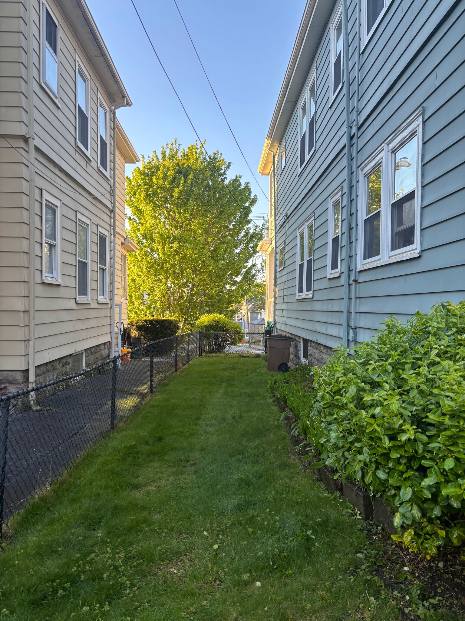 Backyard - 748 Belmont St