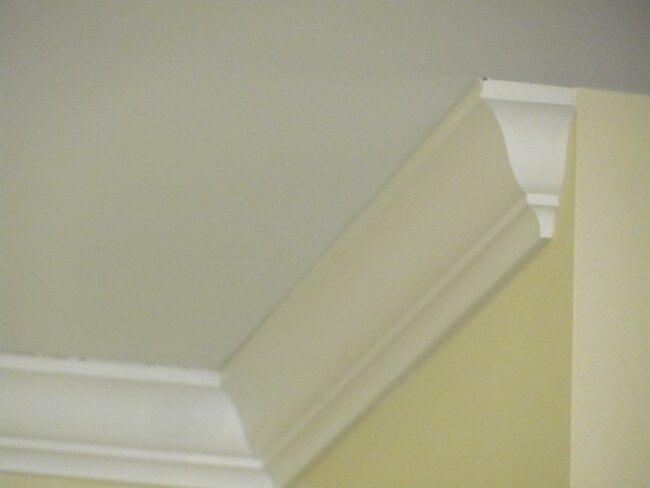 Building Photo - 1010 6th St