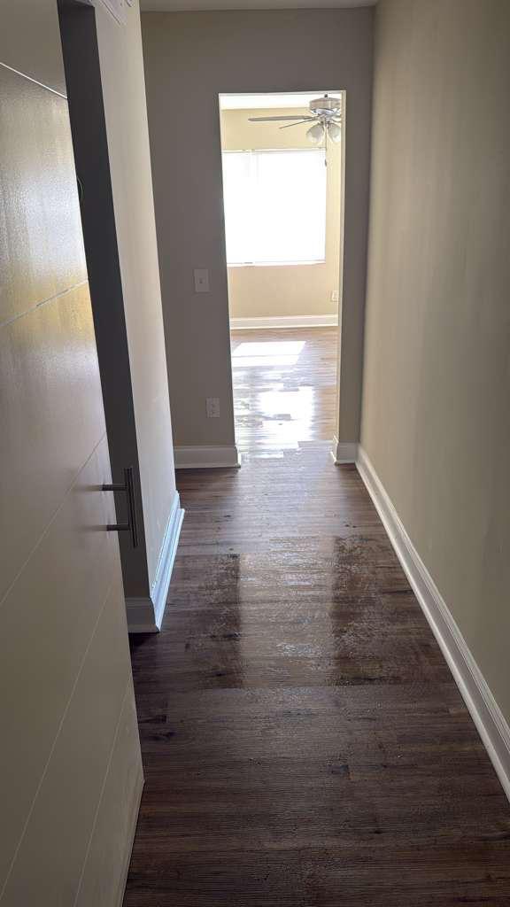 Building Photo - 1706 Ponce De Leon Prado