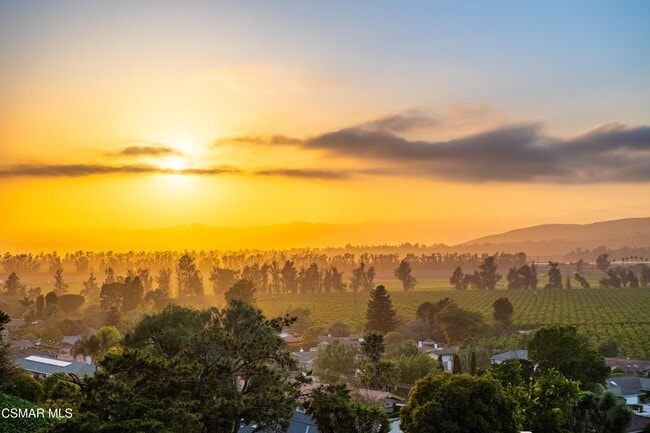 Building Photo - 1074 Deseo Ave