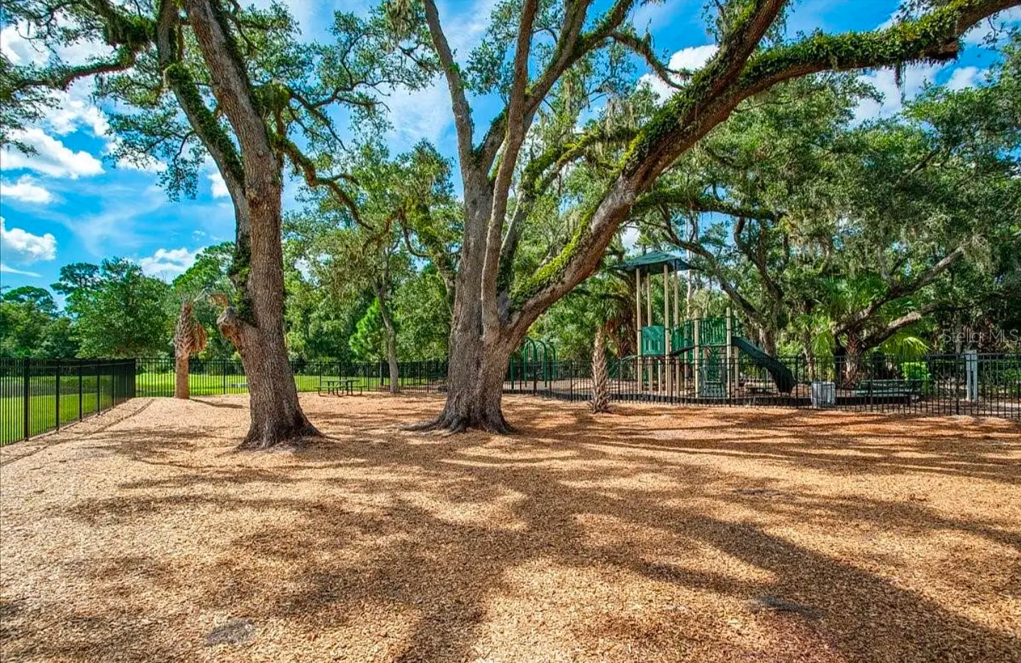 Building Photo - 6559 Calypso Coral Ln