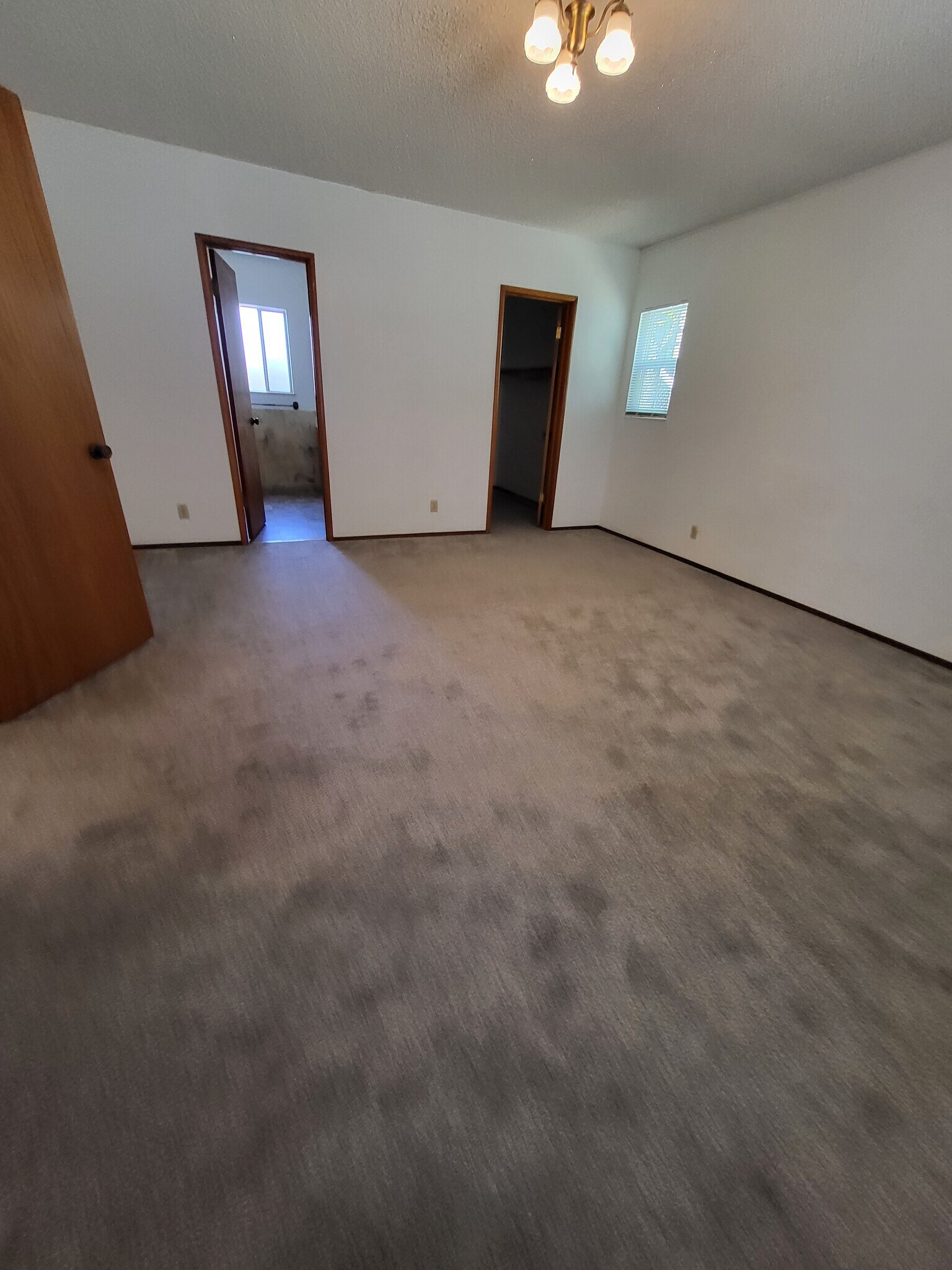 Building Photo - 906 Balra Dr