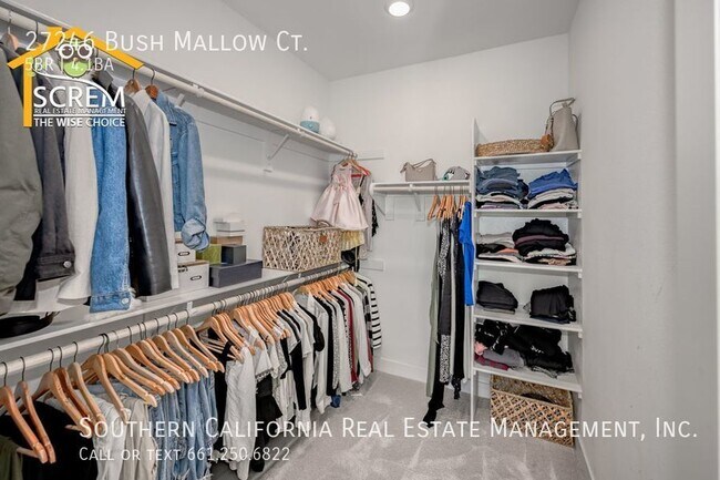 Building Photo - 27246 W Bush Mallow Ct