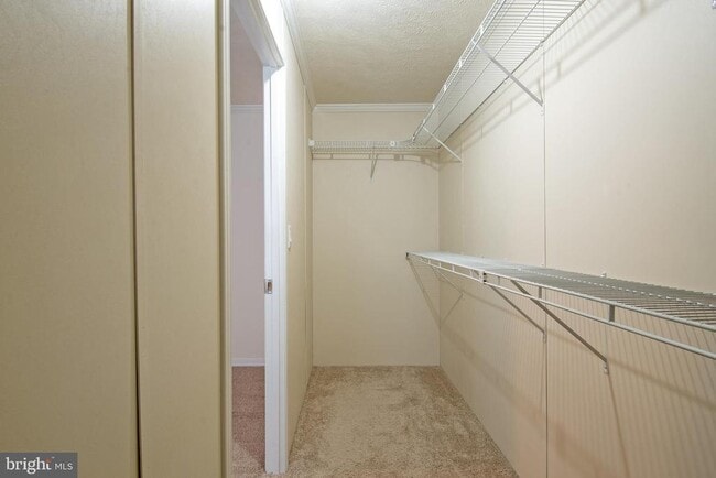 Building Photo - 192 Daffodil Dr