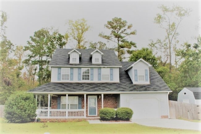 Primary Photo - Staff Favorite.