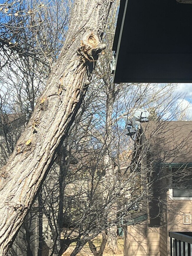 Building Photo - COMING SOON_ MAY| 2-Bedroom Condo | 2 Full Baths | Covered Parking