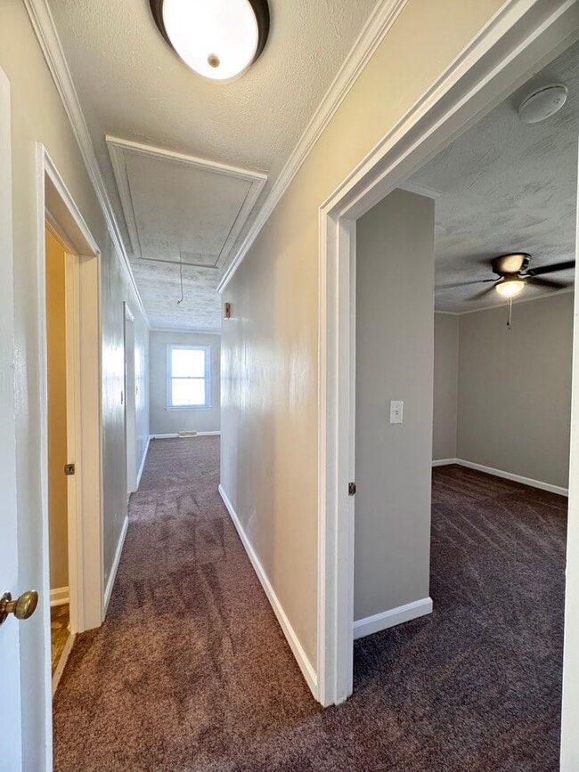 Building Photo - Freshly Updated 3Bedroom One Story Home