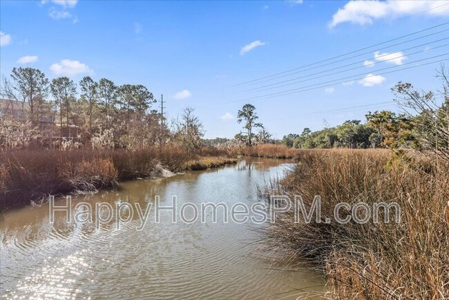 Building Photo - 2051 Marsh Flower Ln