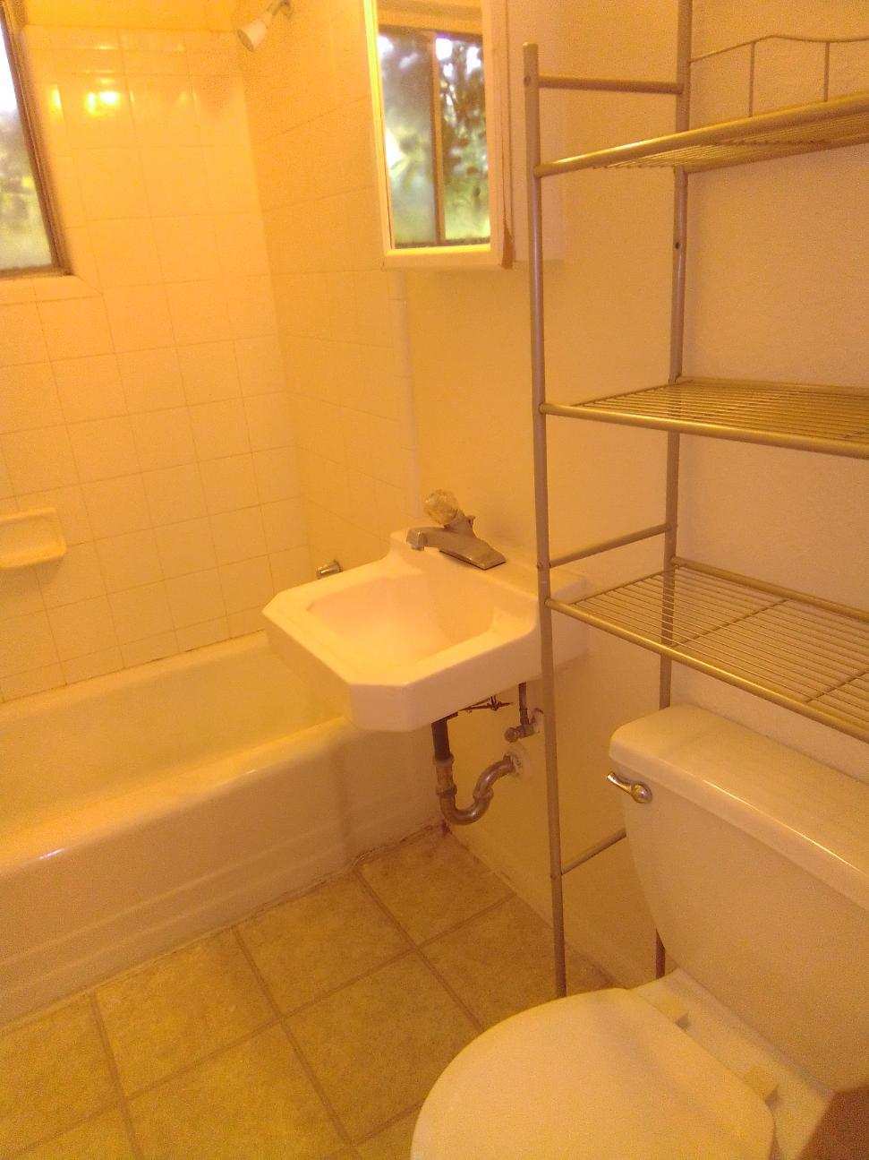 Bathroom - 1415 Wyoming Ave