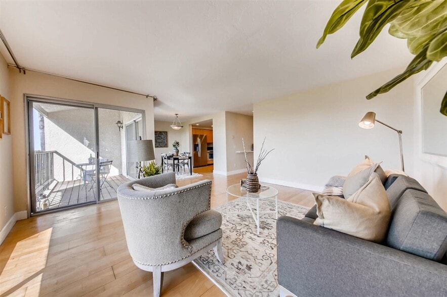 Living room - 916 Caminito Estrada