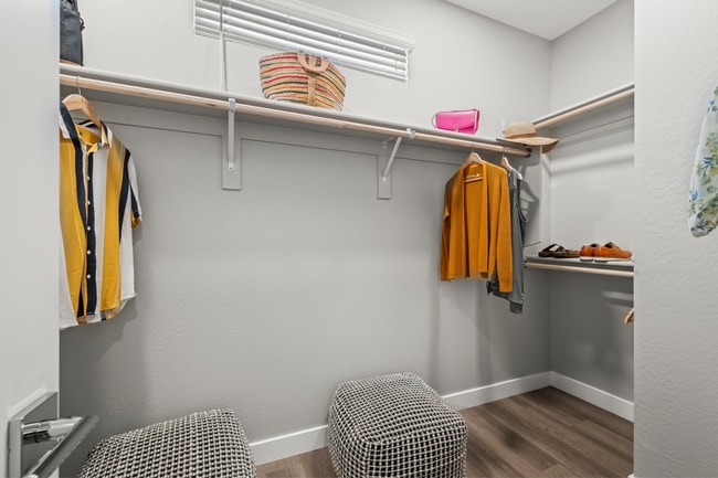 2B Closet Staged - The Flats at Jasper