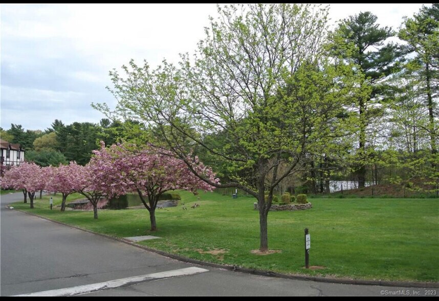 Building Photo - 365 Mather St