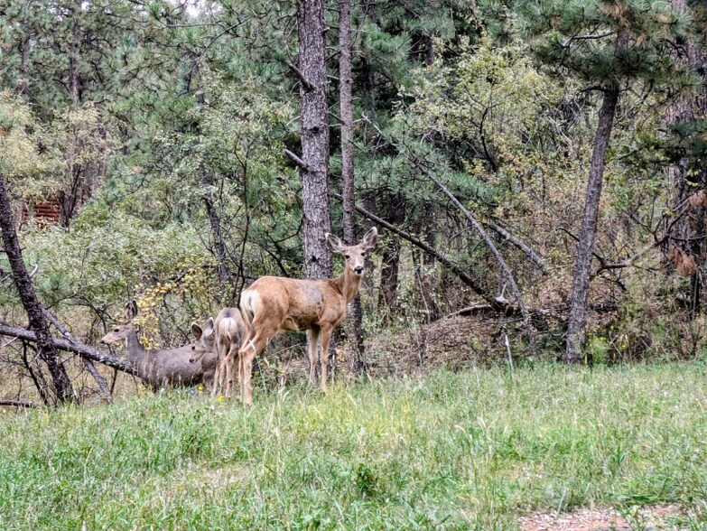 Building Photo - 9885 Fountain Rd