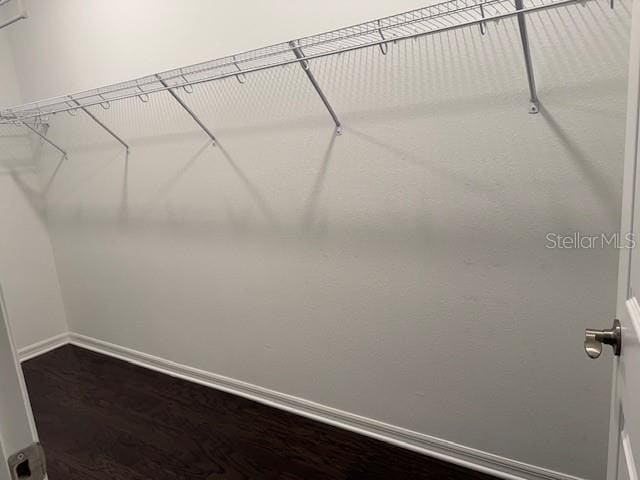 Building Photo - 3040 Via Sienna Cir