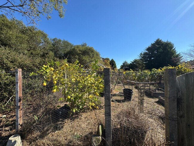 Building Photo - Country Living just minutes from Town