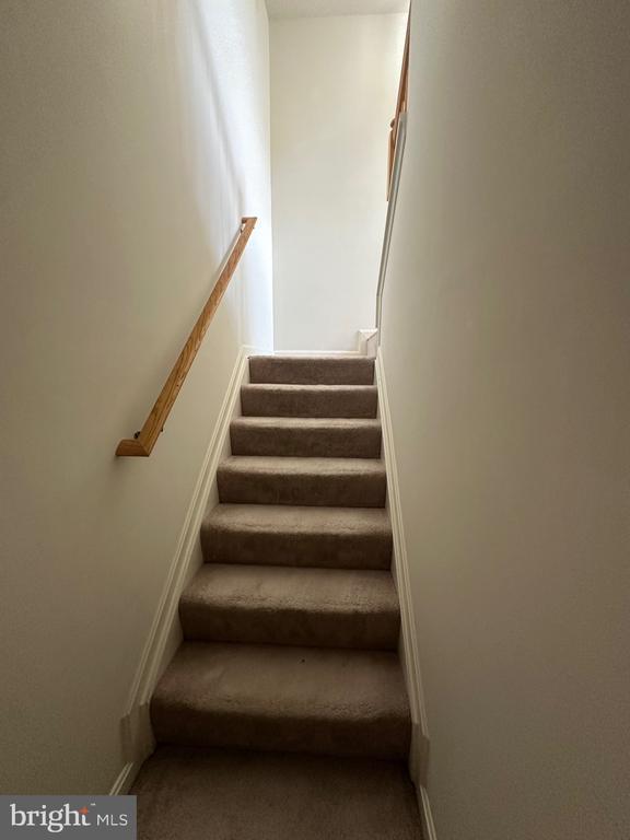 Building Photo - 1114 Pennywort Cir