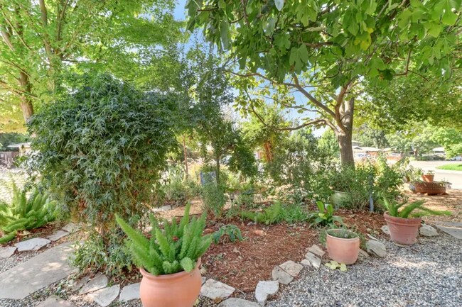 Building Photo - Charming 3 bed 1 bath home in Davis