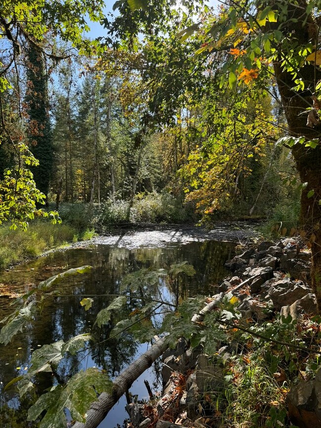 Building Photo - Newly remodeled, adorable, CREEK FRONT, Du...