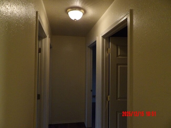 Building Photo - 3 Bedroom Duplex